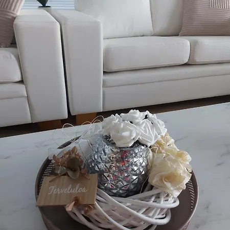Penthouse-tasokas Moderni Kaupunki Huoneisto Huipulla -iso Jacuzzi Omalla Kattoterassilla - Aurinkotuolit Ja Aurinko Odottaa Sinua - Huikea Maisema- - 10 Hloe - Free Parking Apartment *